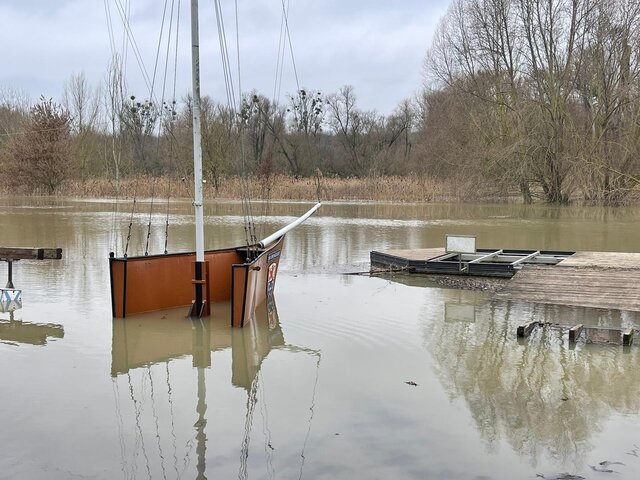 2021 hochwasser rhein 11