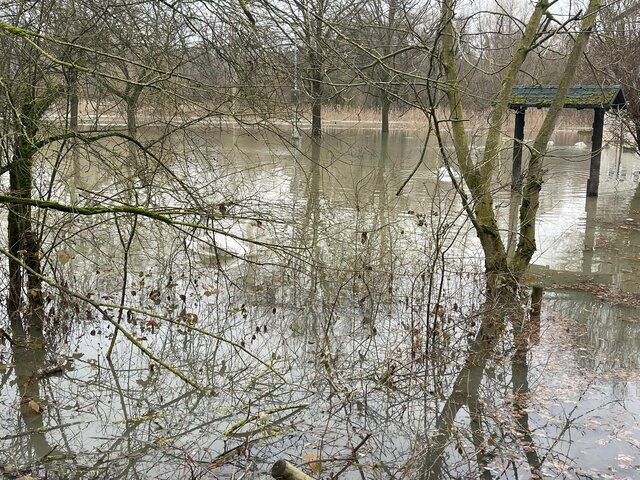 2021 hochwasser rhein 12