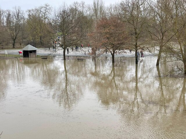 2021 hochwasser rhein 14