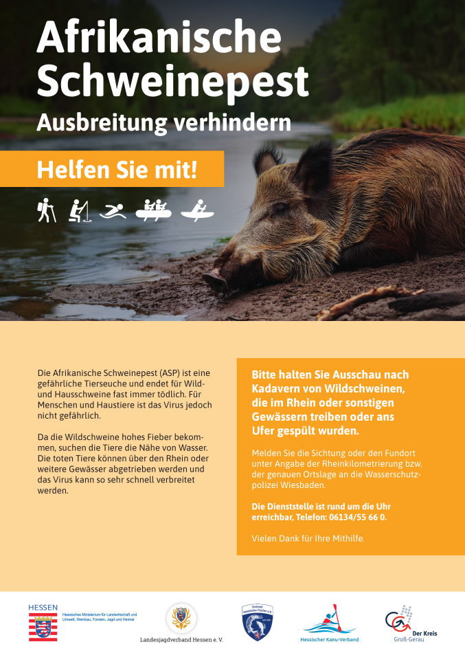 2024 08 LJV Hessen Plakat Wassersport Fischerei thumbnail a1672
